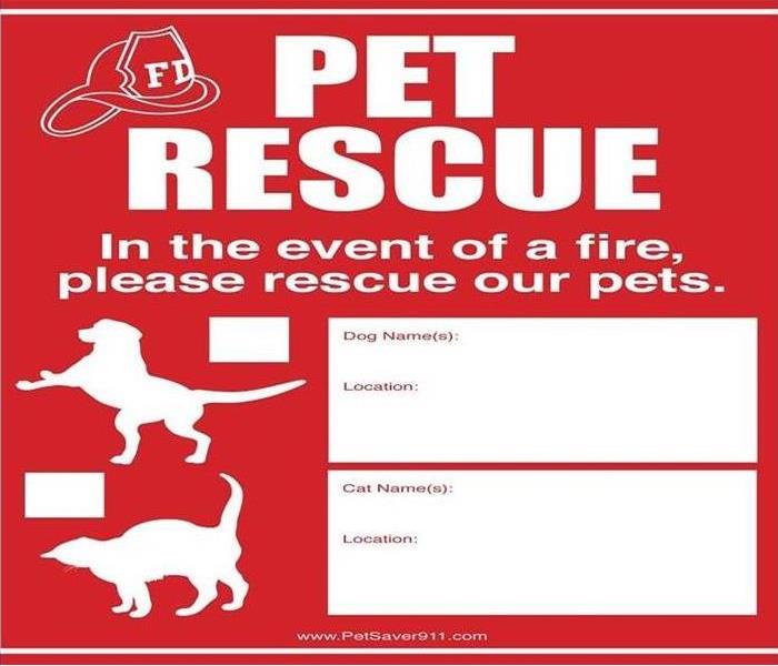 Pet Rescue Sticker with picture of a dog and cat on it