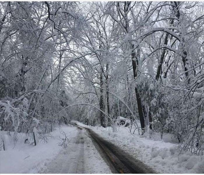 road with ice covered tree limbs and telephone wires
