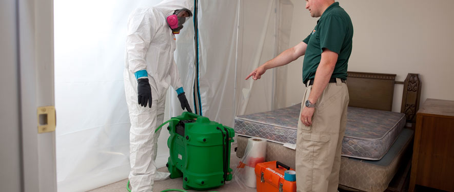 Brookfield, CT mold removal process